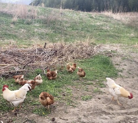 おすすめポイント3