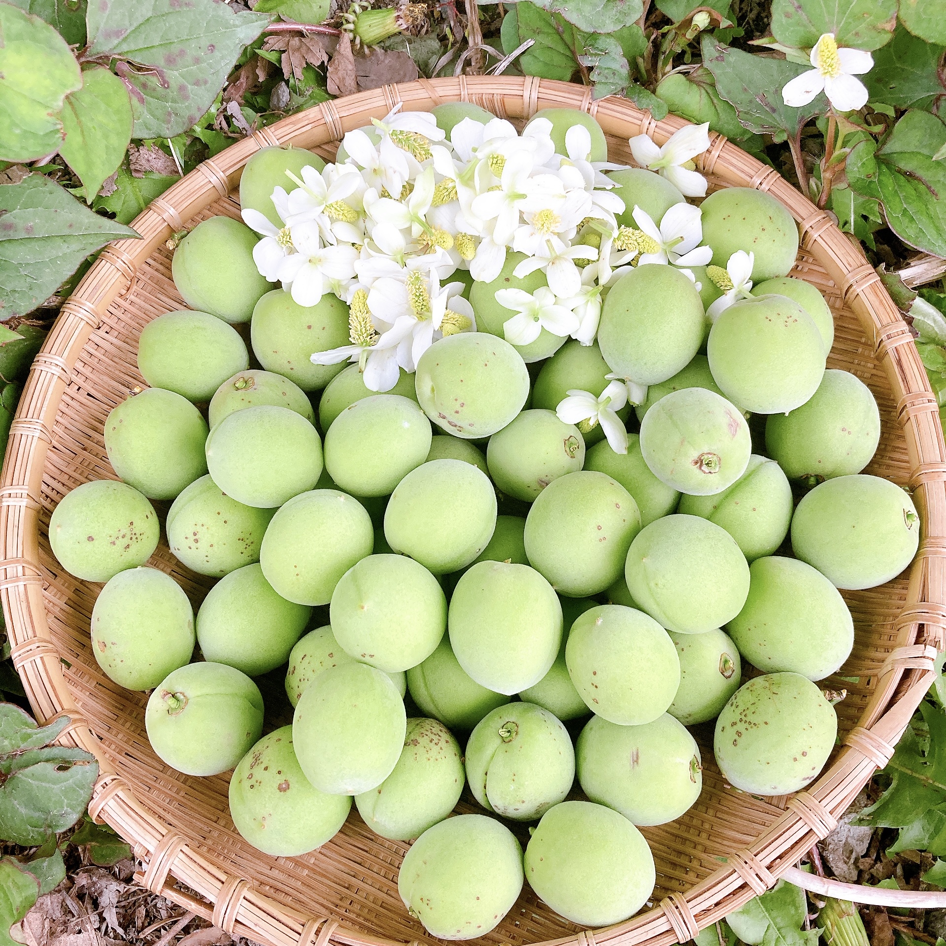 おすすめポイント2